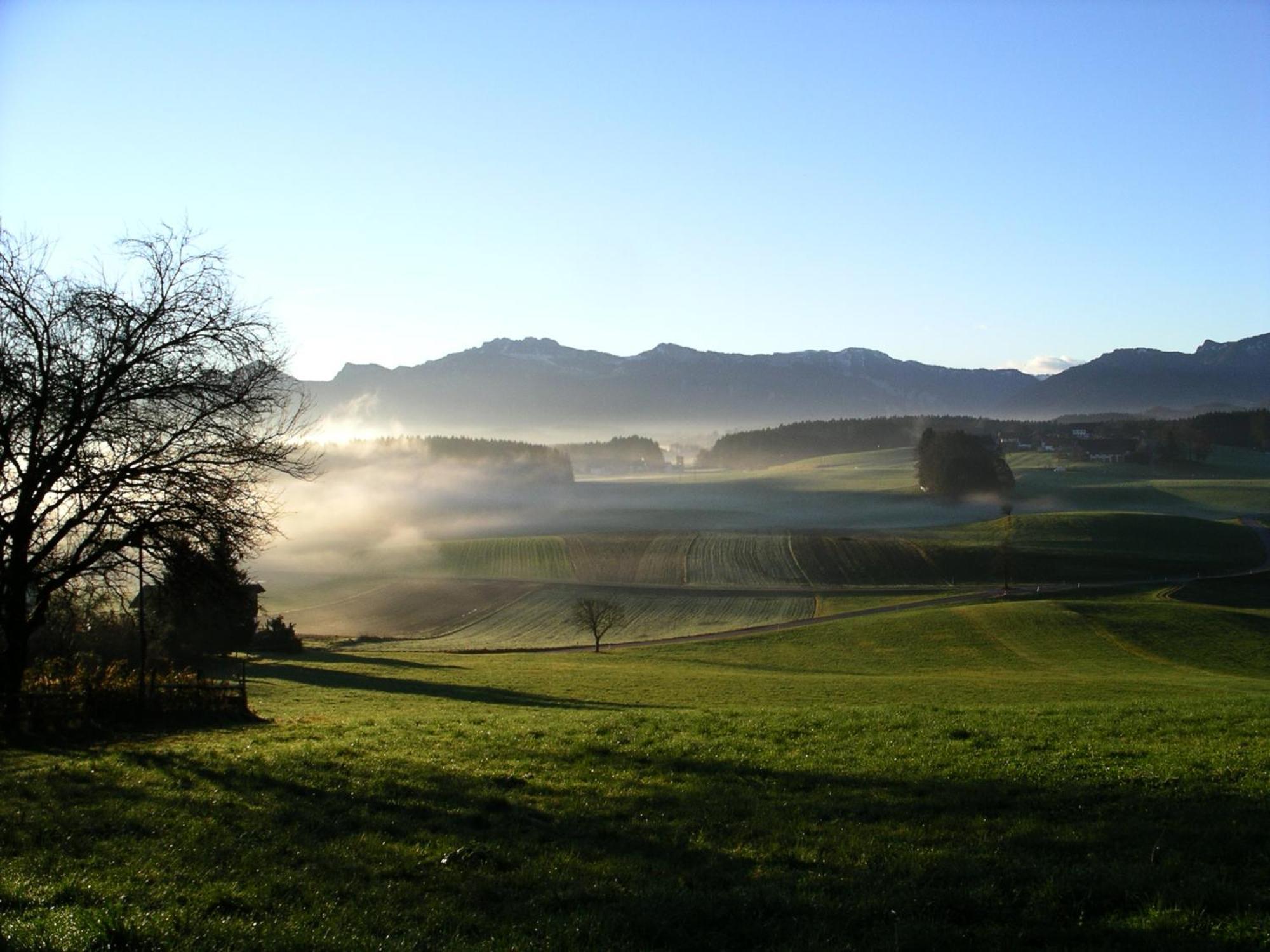 Maderhof Appartamento